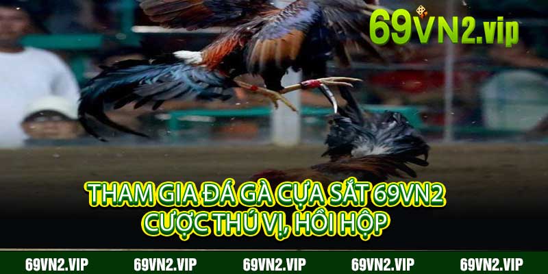 Tham Gia Đá Gà Cựa Sắt 69VN2 Cược Thú Vị, Hồi Hộp