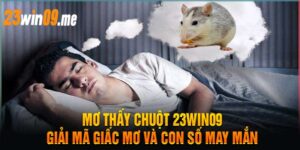 Mơ Thấy Chuột 23Win09 Giải Mã Giấc Mơ Và Con Số May Mắn